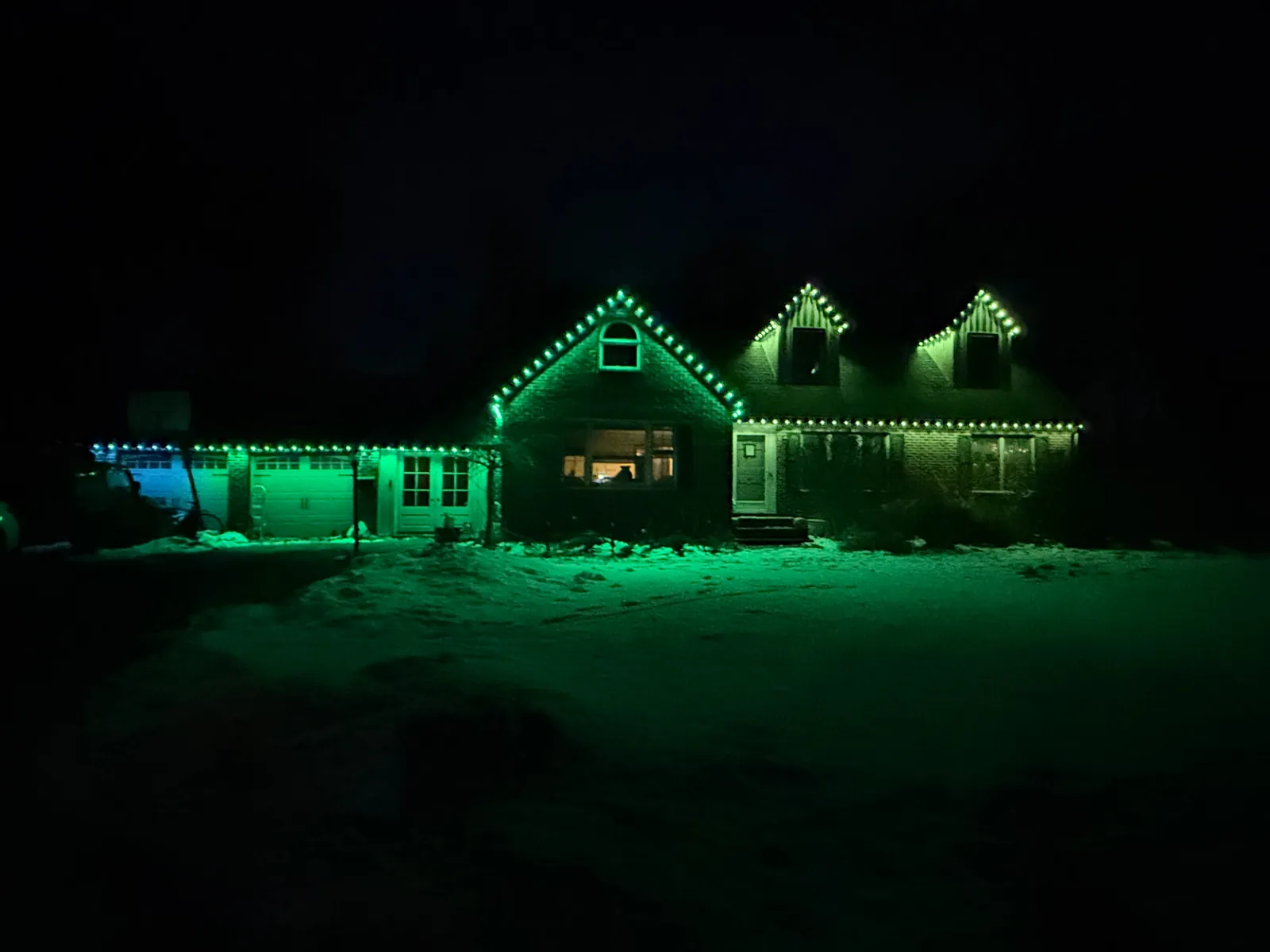 Full green scene on a snowy winter night